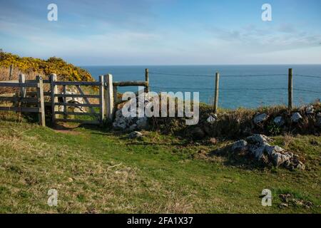 Muro di pietra e portone di legno lungo il Pembrokeshire Coast Path. Foto Stock