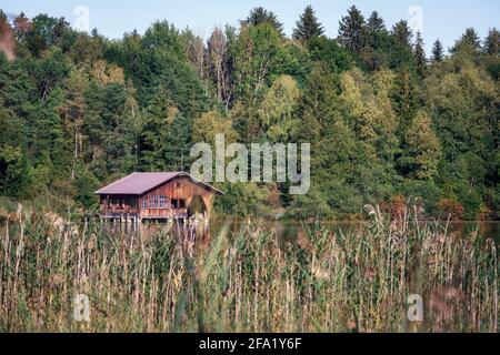 Tranquilla, appartata boathouse su un piccolo stagno circondato da erba e alberi. Foto Stock