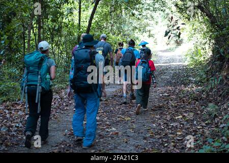 Shan state, Myanmar - 5 gennaio 2020: Un'escursione turistica di gruppo da attraverso la lussureggiante foresta da Kalaw al Lago Inle Foto Stock