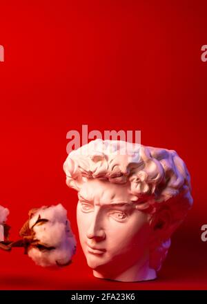 Vaso in gesso sotto forma di testa di Davide su sfondo rosso. Foto Stock
