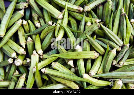 Gobo, okra, okro, dita delle Signore, ocro (Hibiscus esculentus, Abelmoschus esculentus), frutti di okra Foto Stock