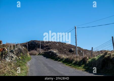 Polo e linee di servizio per la trasmissione di elettricità e comunicazione alle abitazioni nelle zone rurali dell'Irlanda. Foto Stock