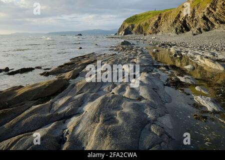 Costa del Galles occidentale a Aberwennol Bay, Borth, Ceredigion Foto Stock