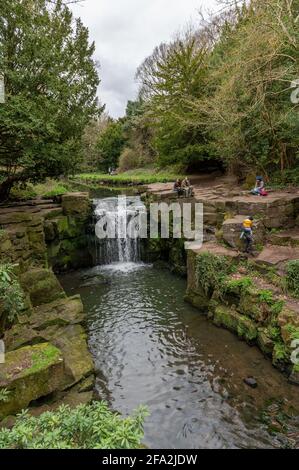 Jesmond Dene Park, Tyne and Wear, Regno Unito Foto Stock