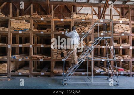 Kingston, NH, US-12 marzo 2021: Uomo che sceglie legno fra le pile di legname su una rastrelliera per la vendita ai consumatori ad un commercio al dettaglio del legname di latifoglie Foto Stock