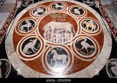 La Lupa di Siena, una delle panne di pavimento a mosaico della Cattedrale di Siena a Siena, Italia Foto Stock