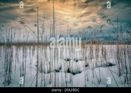 DE - BAVIERA: Loisach Moor vicino Kochel Foto Stock