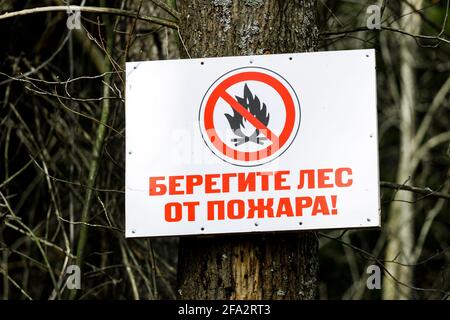 Russia. Vyborg. 04.04.2021 un segno nel bosco su un albero con un'iscrizione in lingua russa. Proteggere la foresta dal fuoco. Foto di alta qualità Foto Stock