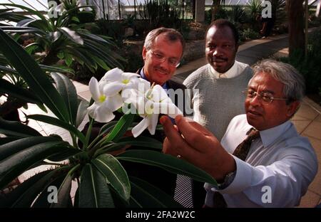 Prof. Peter Crane, Direttore dei Giardini Kew Settembre 2000 con (centro) Dr. Lambert Georges Ouedraogo del Burkina Faso e (a destra) Hon M Rija Oliver Hughes Rajohnson del Madagascar (si prega di controllare il nome in Mikes copia) ispezionando un Pachypodium Lamerei dal Madagascar che si trova nei giardini Kew Foto Stock