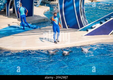 Orlando, Florida. 15 ottobre 2020. Delfini e formatori al Seaworld (7) Foto Stock