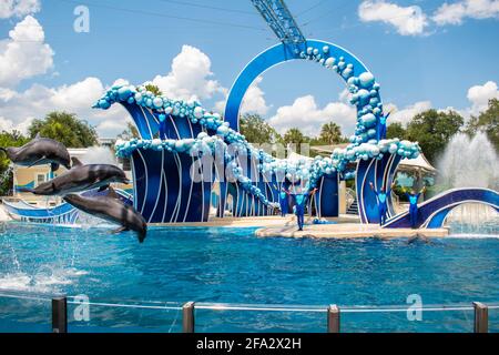 Orlando, Florida 17 giugno 2020. Delfini che saltano in Dolphin Days Show al Seaworld (10) Foto Stock