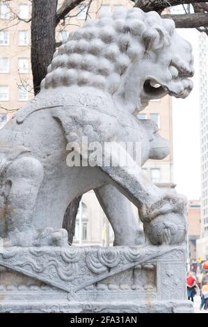 Royal Ontario Museum (Toronto) - leone guardiano cinese - profilo, lato sinistro Foto Stock