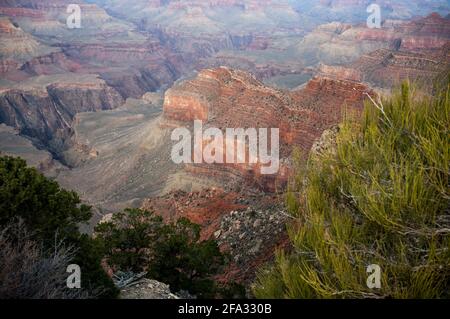 EL RIO COLORADO NACE EN LAS MONTAÑAS ROCALLOSAS Y RECORRE 2333 CRUZANDO POR COLORADO UTAH ARIZONA NEVADA Y CALIFORNIA EN LOS ESTADOS UNIDOS Y BAJA CAL Foto Stock