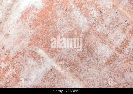 Concime chimico bianco residui di nitrato di ammonio dopo lo scarico in impianti industriali. Foto Stock
