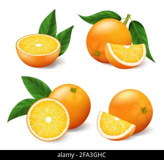 Arance gialle luminose realistiche con foglie verdi intere e tagliate a fette impostazione Illustrazione Vettoriale