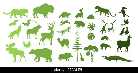 Nord, Sud America, silhouette di animali selvatici Eurasia, illustrazione vettoriale. Salva, scopri la fauna selvatica. Zoo. Geografia. Illustrazione Vettoriale