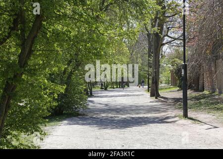 Woodland Path su Wandsworth Common, a sud di Londra, Regno Unito. Un'area di alberi, parchi e campi da gioco. Giorno di primavera soleggiato. Foto Stock