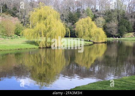 Fontane Abbey nella primavera 2021 Foto Stock