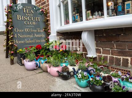 Collezione di coloratissime teiere cinesi che contengono piante e fiori all'esterno del Tea and Biscuit Club, un negozio di tè ad Arundel High Street West Sussex UK Foto Stock