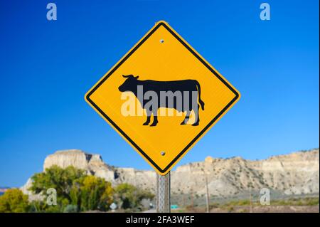 Attraversamento del bestiame cartello stradale su Scenic Byway 12 vicino Cannonville, Utah, Stati Uniti d'America. Foto Stock