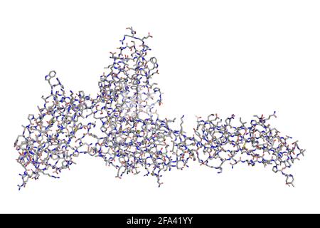 Struttura 3D del complesso ligando PD-1/PD-L1 della proteina di morte cellulare programmata Foto Stock