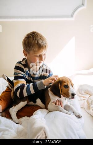 Razze di cane migliori per i capretti, cani di buona famiglia. Presentazione dei cuccioli e dei bambini. Simpatico cucciolo di Beagle e ragazzo che gioca a letto a casa Foto Stock