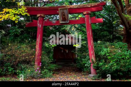 Hachinohe, Giappone - Ottobre 21 2020: Vista pomeridiana di un vecchio cancello rosso luminoso torii con un segno che legge 'Inarijinja' (traduzione: 'Santuario Inari') e. Foto Stock