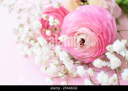 Un bel bouquet di ranunculus rosa con delicati fiori di gypsophila bianchi su sfondo rosa. Foto Stock