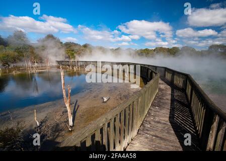 Lago geotermico a Kuirau Park, Rotorua, Nuova Zelanda Foto Stock