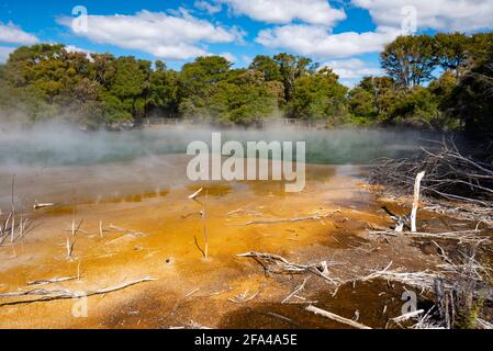 Lago geotermico a Kuirau Park, Rotorua, Nuova Zelanda Foto Stock