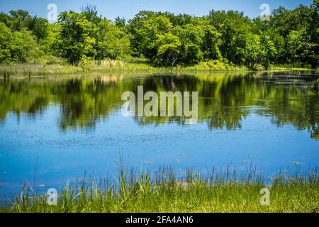 Un bellissimo lago park in Hagerman Wildlife Refuge, Texas Foto Stock