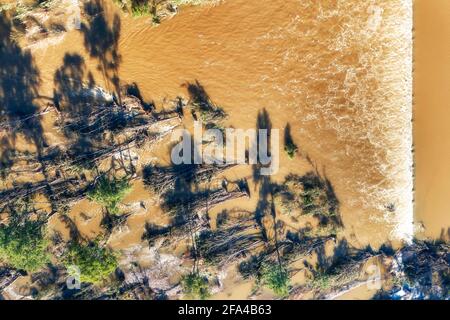 Vista aerea dall'alto sul fiume Nepean Penrith Weir attraverso il flusso allagato di acqua gialla con alberi caduti. Foto Stock