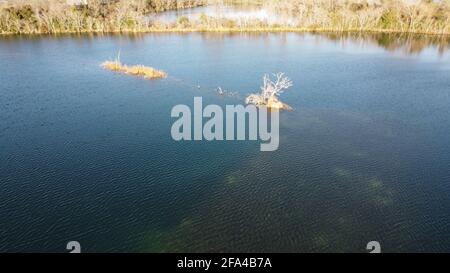 Laghetto con isola di corallo e albero bianco foto aerea scattata dal drone in 4k vicino a houston, texas negli Stati Uniti Foto Stock