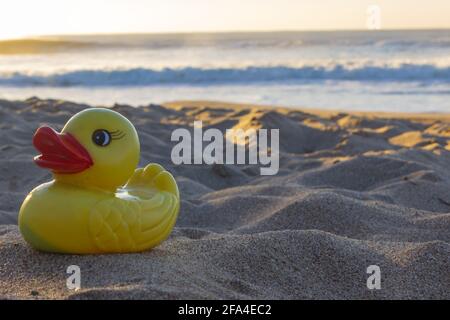 Piccola anatra gialla sulla sabbia in una giornata di sole. Foto Stock