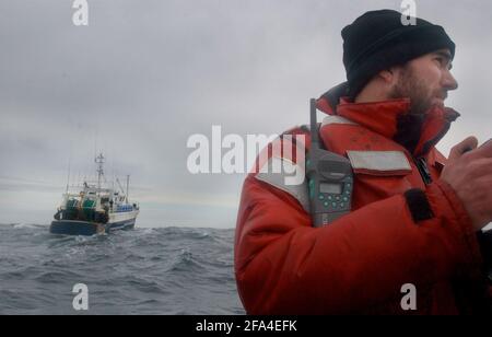 I PESCHERECCI DA TRAINO FRANCESI SI SPOSTANO IN PROSSIMITÀ DELLE IMBARCAZIONI GREENPEACE DURANTE IL LORO CAMPAGNA NEL CANALE INGLESE CONTRO TWIN TRAWLER PESCA PER SPIGOLA CHE STA UCCIDENDO UN GRAN NUMERO DI DELFINI COMONI.23 Marzo 2005 TOM PILSTON Foto Stock