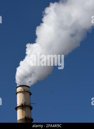 Apollo Beach, Florida, Stati Uniti. 9 Feb 2021. Un smokestack di bilowing è visto alla centrale elettrica di Tampa Electric Big Bend, un impianto composto da quattro unità alimentate a carbone, due delle quali sono previste essere ritirate entro il 2023 e sostituite da unità a gas naturale. Nel gennaio 2021, Tampa Electric ha annunciato piani per raddoppiare il numero di case che alimenta con l'energia solare aggiungendo quattro progetti solari entro la fine del 2021 che produrranno abbastanza energia per alimentare 200,000 case della Florida. Credit: Paul Hennessy/SOPA Images/ZUMA Wire/Alamy Live News Foto Stock