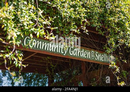 Il giardino comunitario @ Snellville in Metro Atlanta è un giardino sostenibile che offre spazio per le famiglie per coltivare cibo e fiori. (STATI UNITI) Foto Stock
