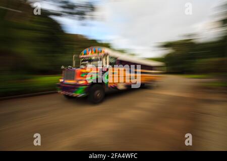 Un autobus 'Diablo Rojo' (diavolo rosso) a Gamboa, provincia di Colon, Repubblica di Panama, America Centrale. Foto Stock