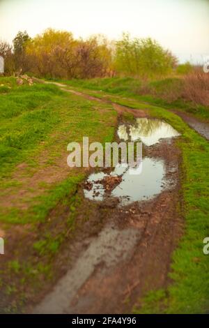 Strada di campagna bagnata con erba verde e un puddle su una pista sterrata. Foto Stock