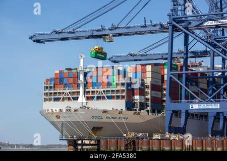 OOCL Hong Kong navi container scarico gru, Porto di Felixstowe, Suffolk, Inghilterra, Regno Unito Foto Stock