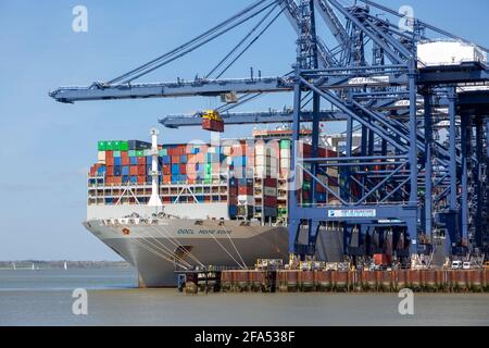 OOCL Hong Kong navi container scarico gru, Porto di Felixstowe, Suffolk, Inghilterra, Regno Unito Foto Stock