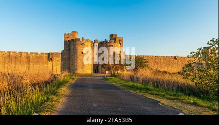 Porta e bastioni est, Aigues-Mortes al mattino presto, nel Gard in Occitanie, Francia Foto Stock