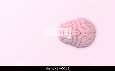 Cervello in vista superiore su sfondo rosa. Sfondo minimo. rendering 3d. Foto Stock