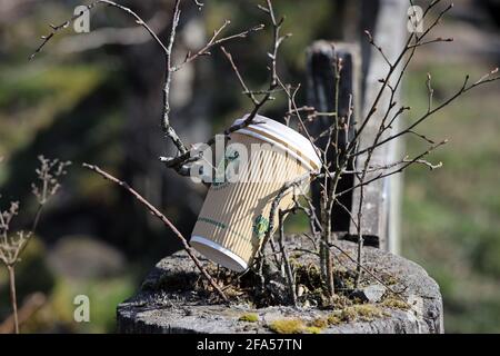 Tazza da caffè usa e getta Littering in campagna in una delle aree del Regno Unito di straordinaria bellezza naturale, Regno Unito. Foto Stock