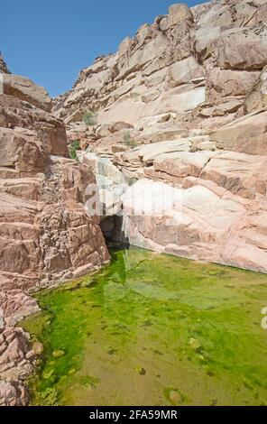 Piscina con acqua dolce sotto la sporgenza nel deserto canyon di montagna Foto Stock