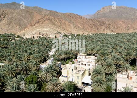 Valle del nuovo e vecchio villaggio Birkat al Mawz con la sua piantagione di palme da dattero nella regione ad Dakhiliyah. Oman. Foto Stock