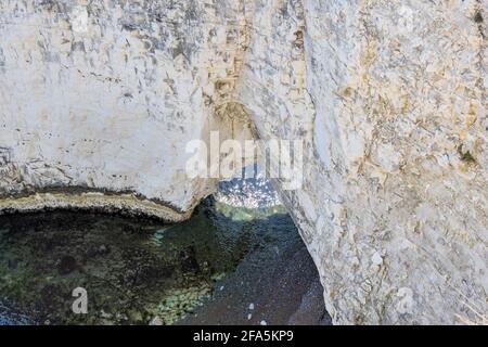 I Pinnacoli, Studland, Isola di Purbeck, Dorset, Regno Unito Foto Stock