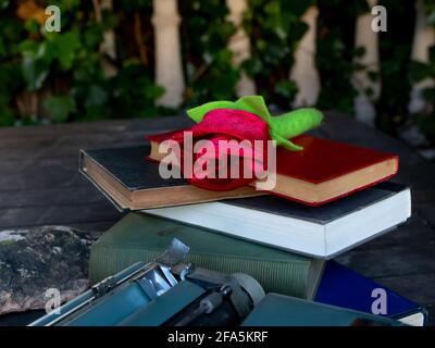 Una rosa in cima a una pila di libri e. una macchina da scrivere Foto Stock