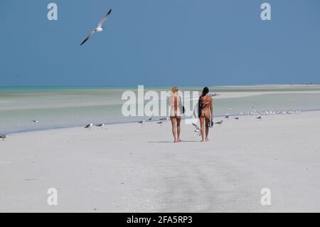 Vista posteriore di due giovani donne attraenti che camminano su una spiaggia tropicale a bassa marea sull'isola di Holbox in Messico. Concetto di viaggio avventura Foto Stock