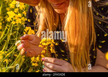 Donna con fiori gialli in Hands.Summer ritratto di donna irriconoscibile in campo di colza. Foto Stock